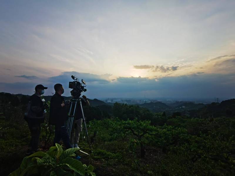 聚焦织金县产品宣传视频拍摄公司，用专业实力铸就品牌传播传奇