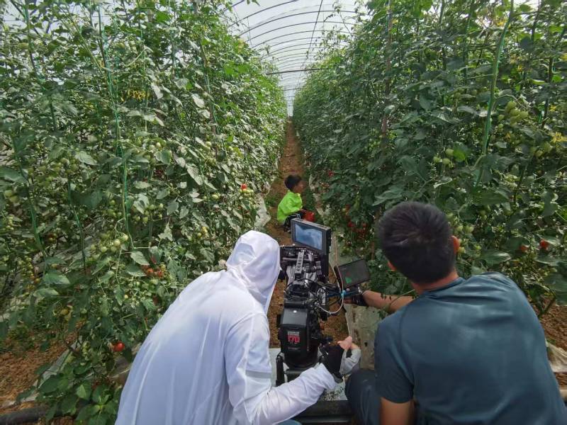 织金县产品宣传视频拍摄公司进阶指南，助力品牌抢占传播高地